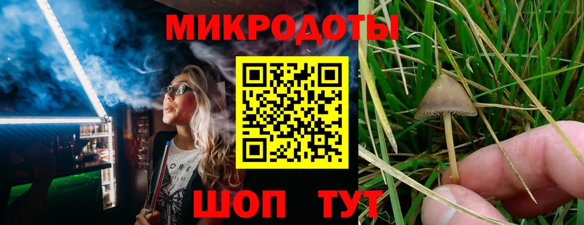 где купить наркоту  Галлюциногенные грибы MAGIC MUSHROOMS  Вход с VPN  Уварово 