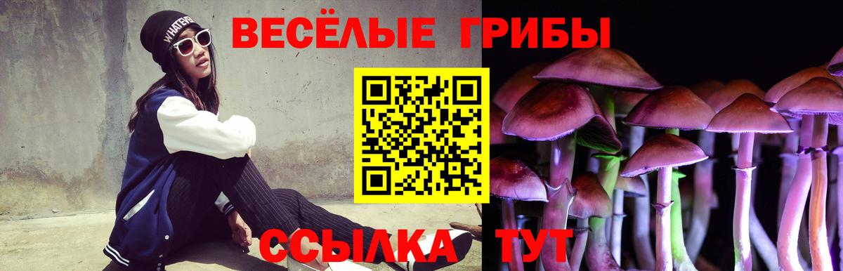 Псилоцибиновые грибы Psilocybine cubensis Уварово